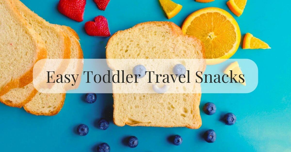 Tasty and Easy Snack Ideas for Toddler Travel