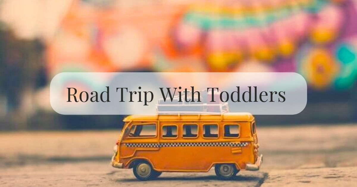 Toddler travel in a car