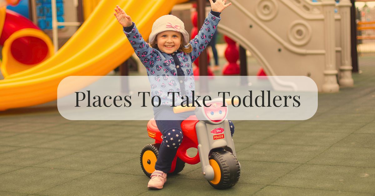 Toddler Having A Fun Day Out In A Playground